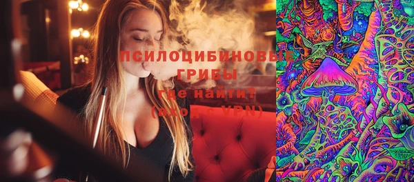 mdpv Гусев