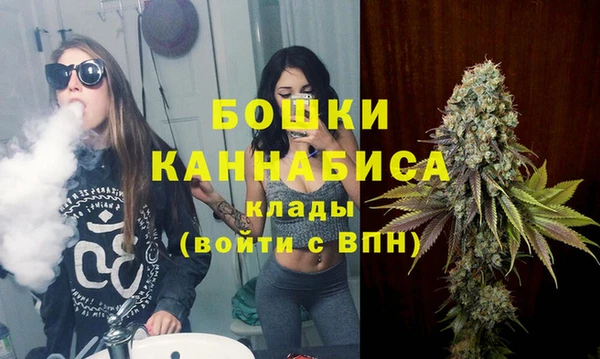 2c-b Горняк
