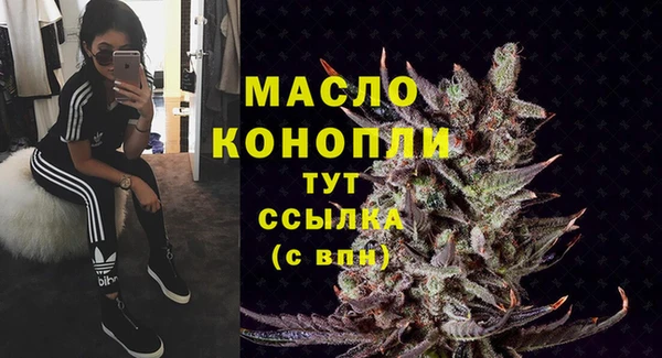 2c-b Горняк