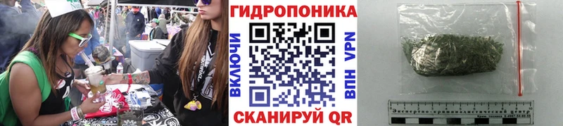 Купить где  Будённовск  Канабис план 